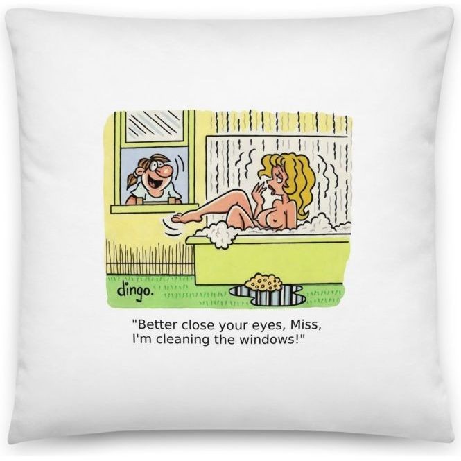 'Better close your eyes, Miss, I'm cleaning the windows!'