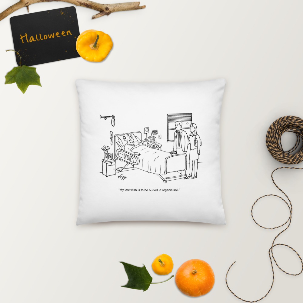 Premium Pillow