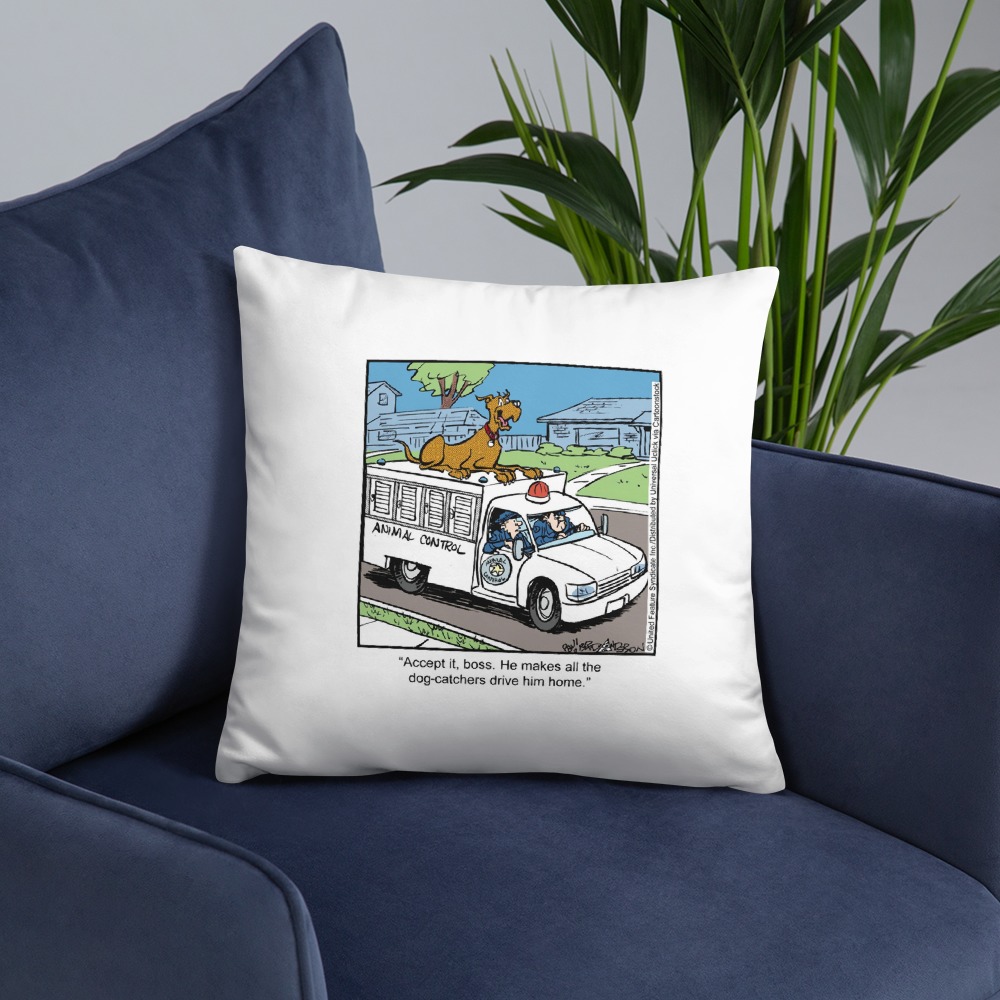 Premium Pillow