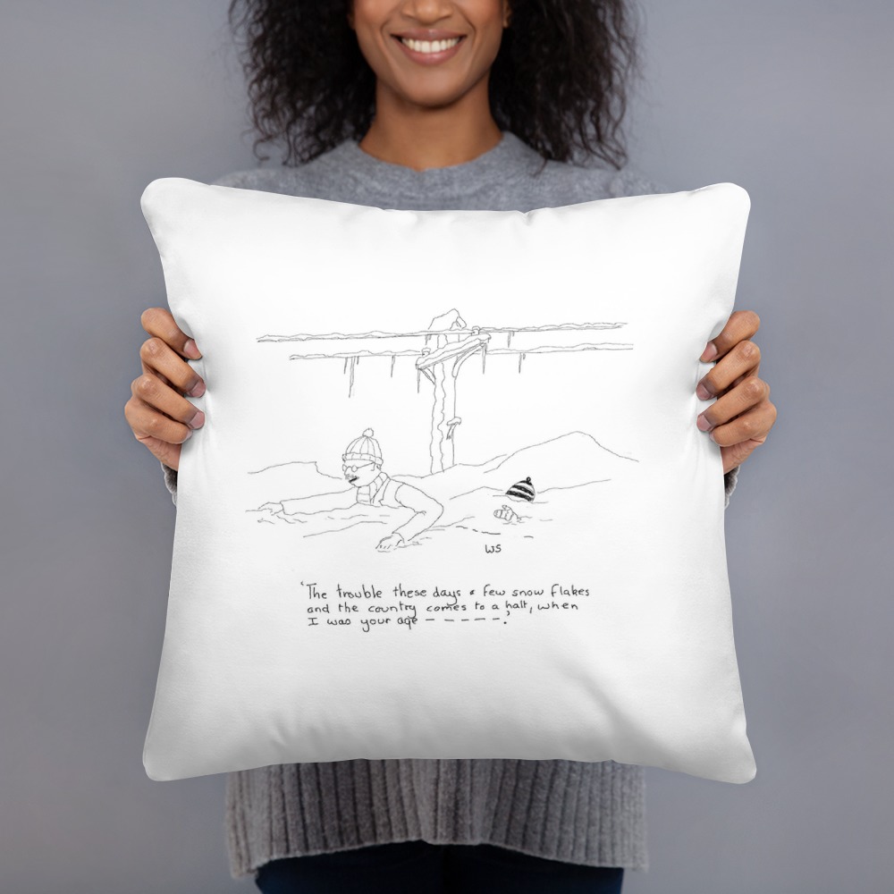 Premium Pillow