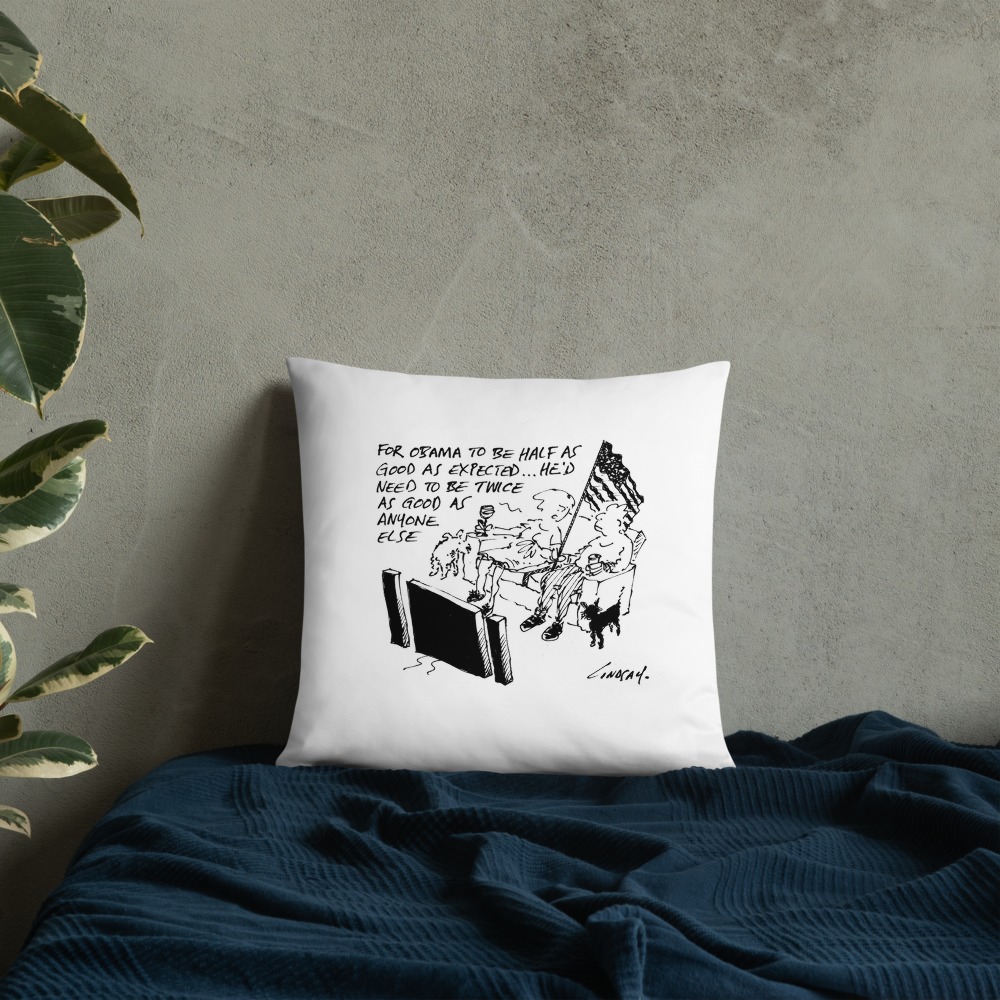Premium Pillow