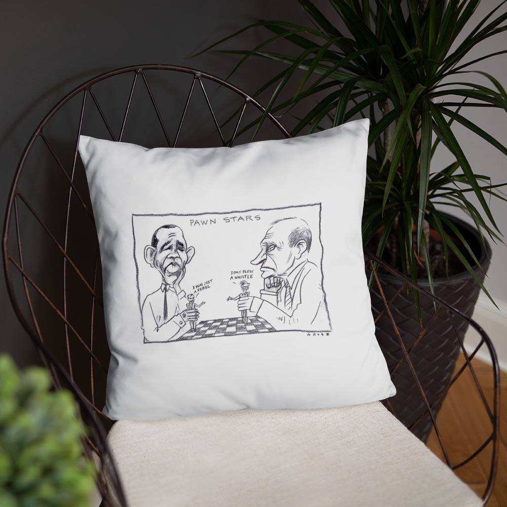 Premium Pillow