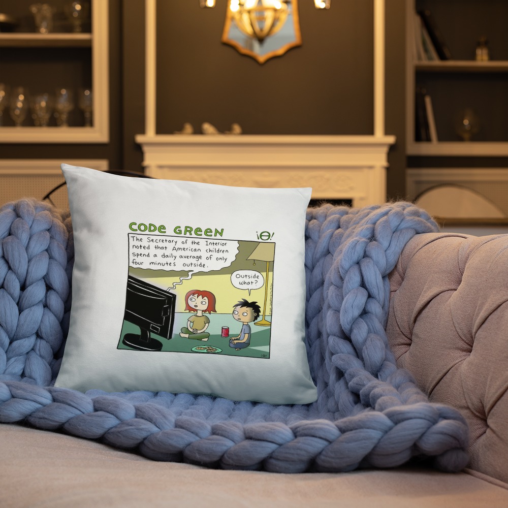 Premium Pillow