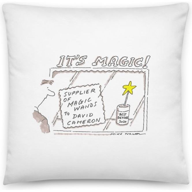 Premium Pillow