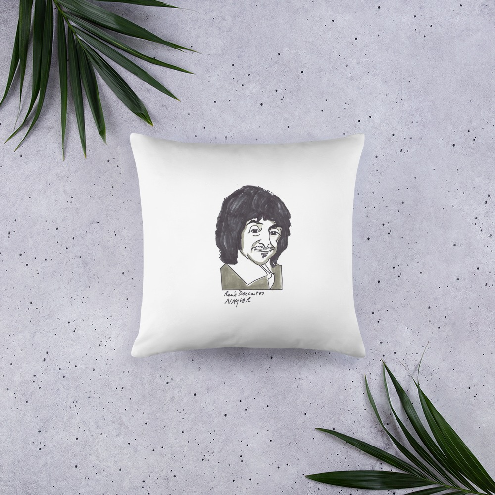 Premium Pillow