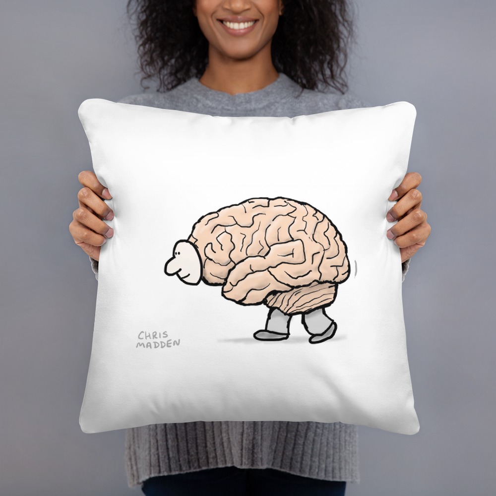 Premium Pillow