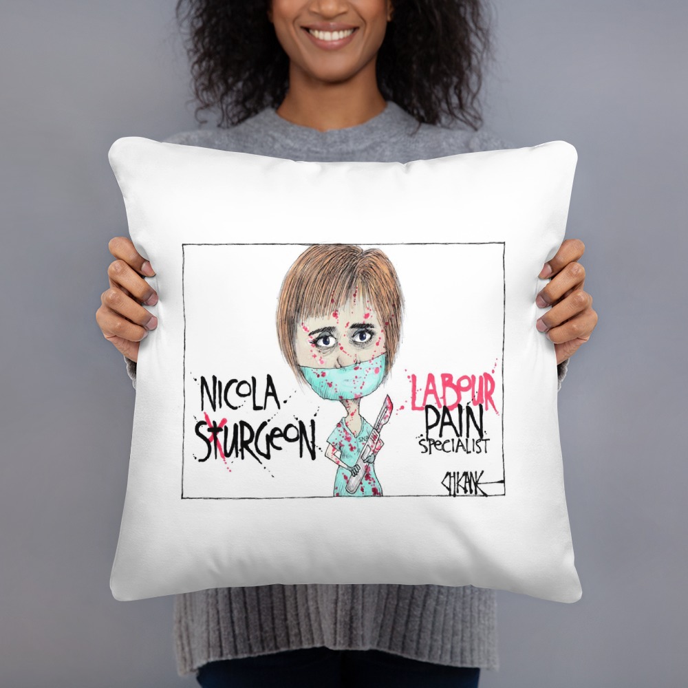 Premium Pillow