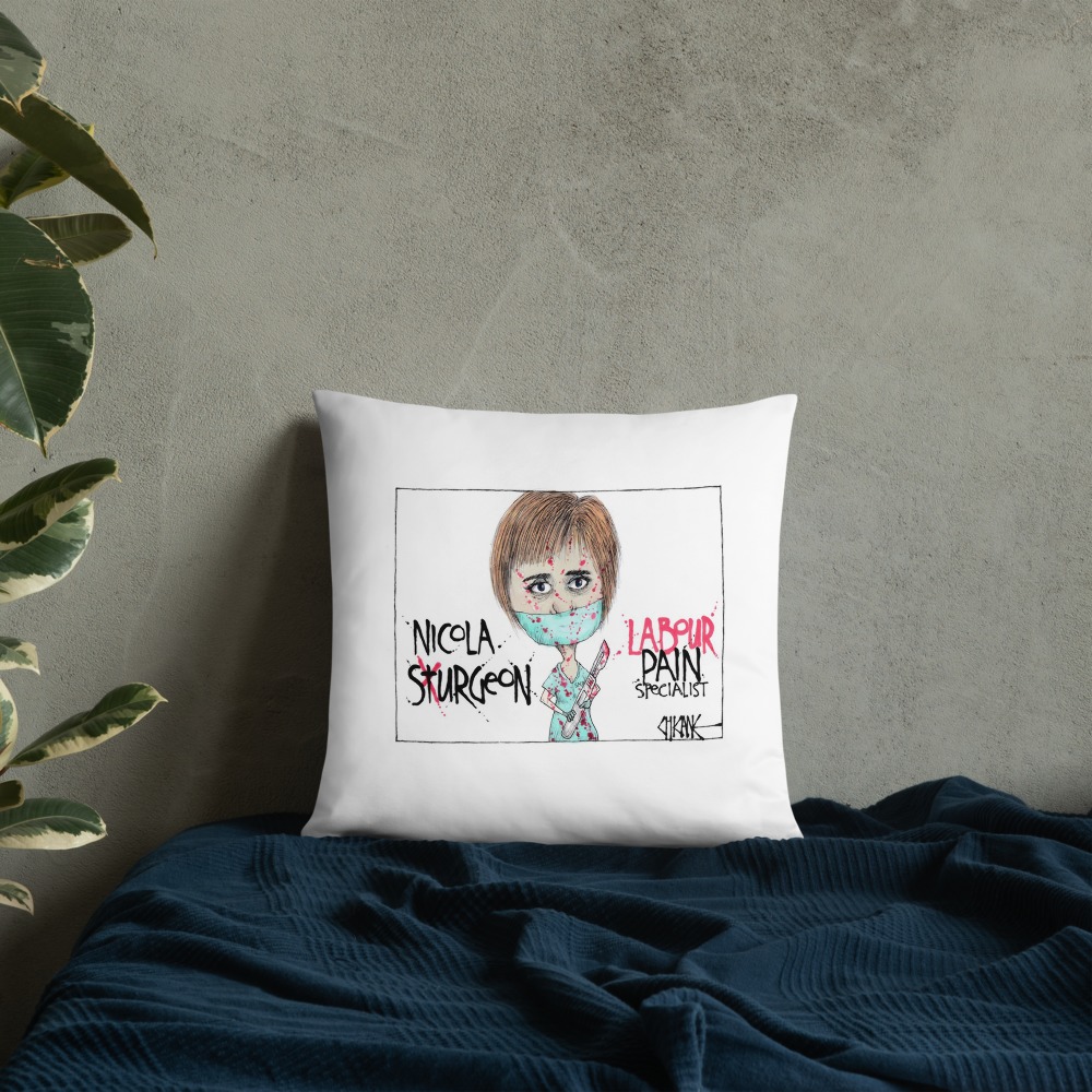 Premium Pillow