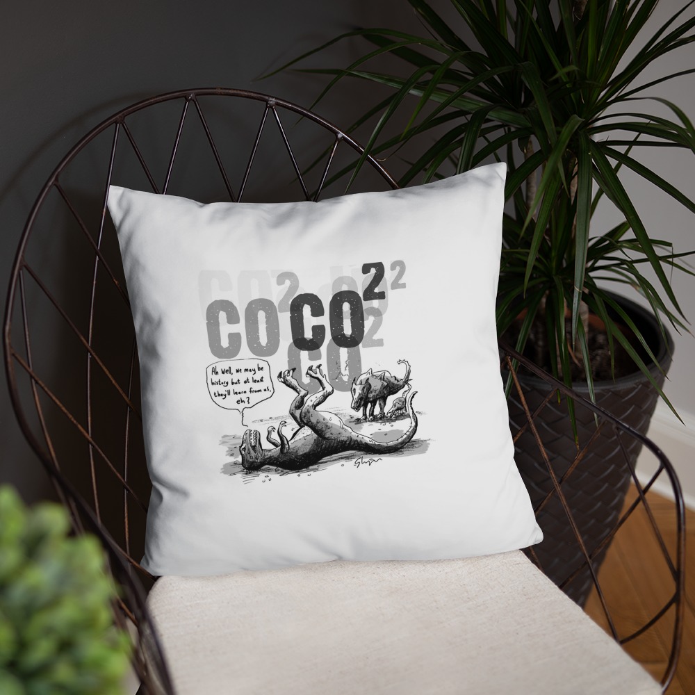 Premium Pillow