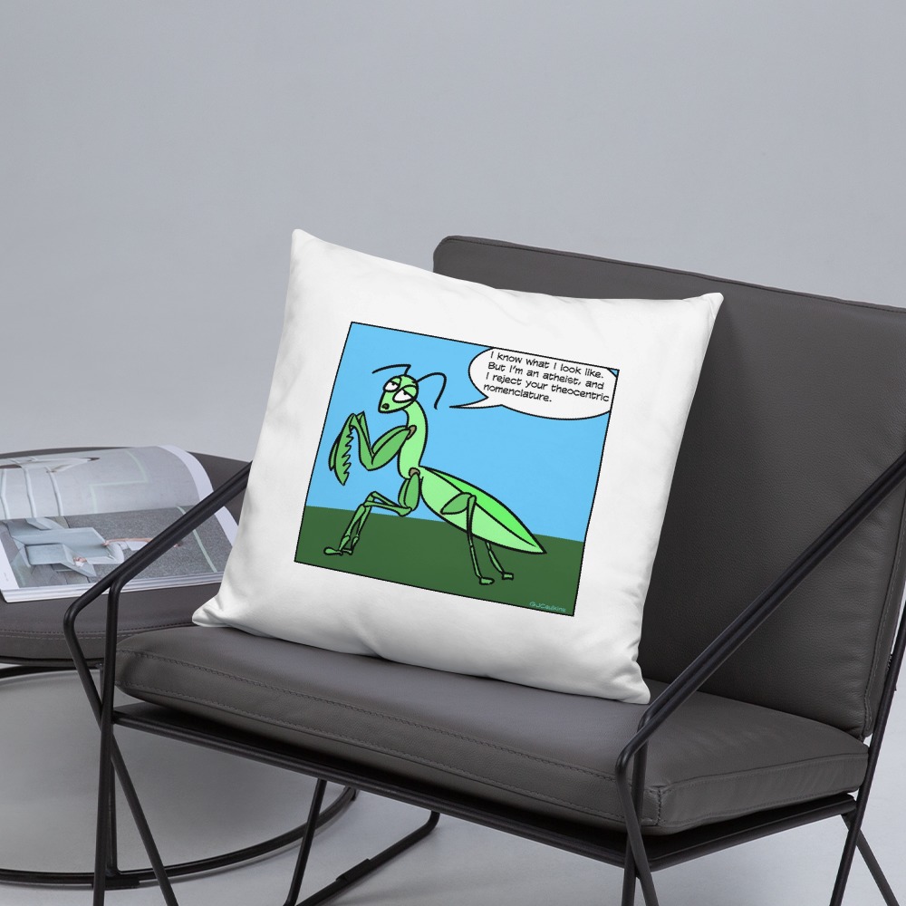 Premium Pillow