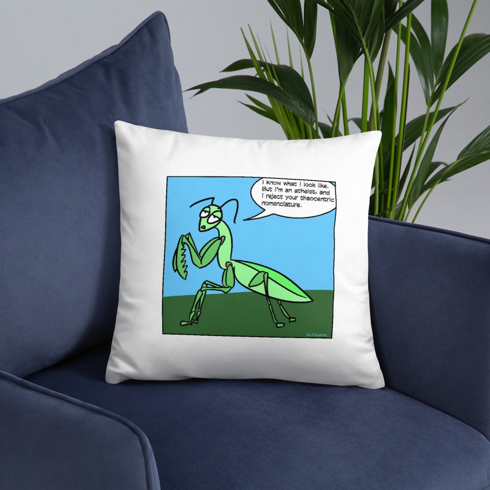 Premium Pillow