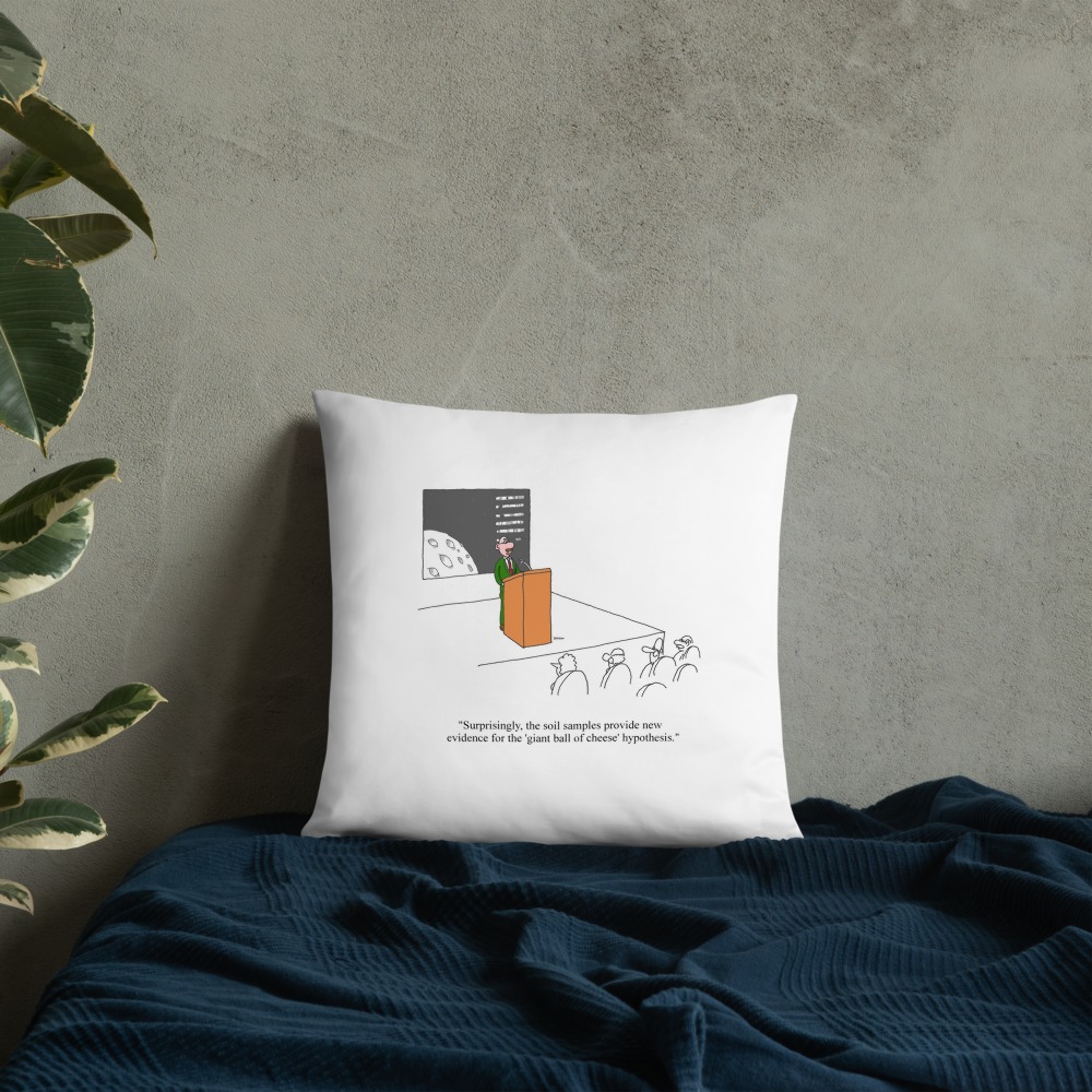 Premium Pillow
