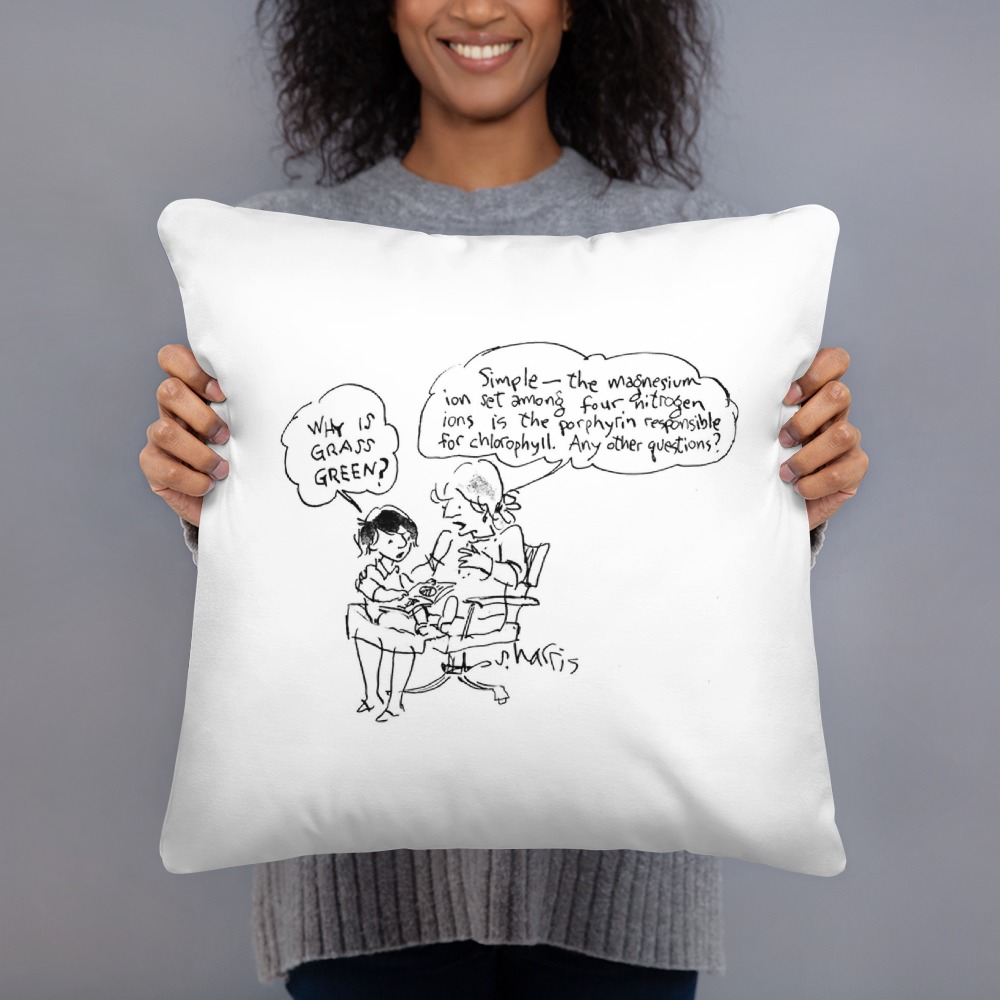 Premium Pillow