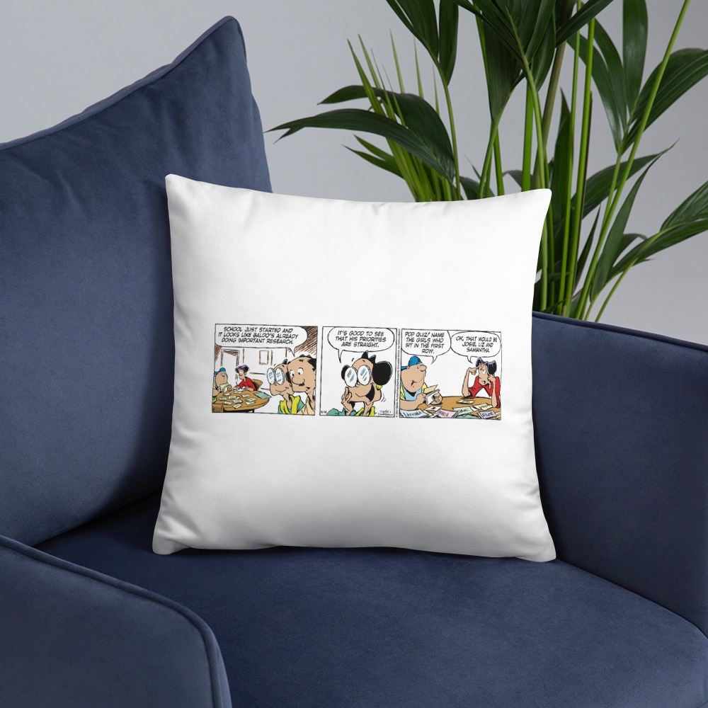 Premium Pillow