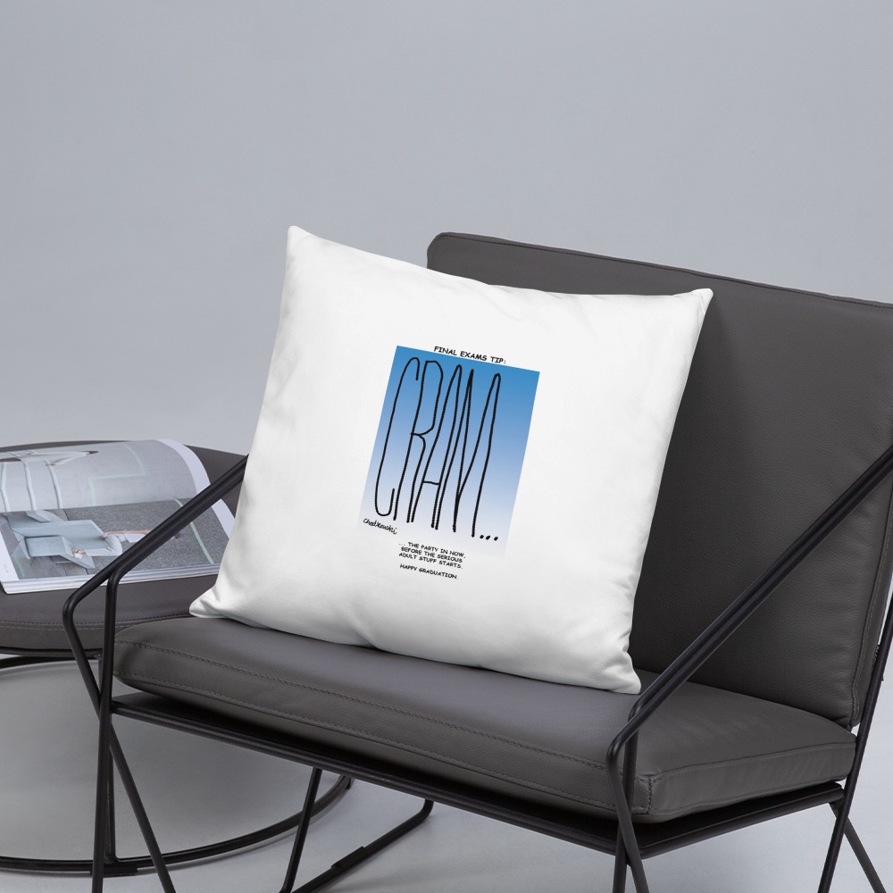 Premium Pillow