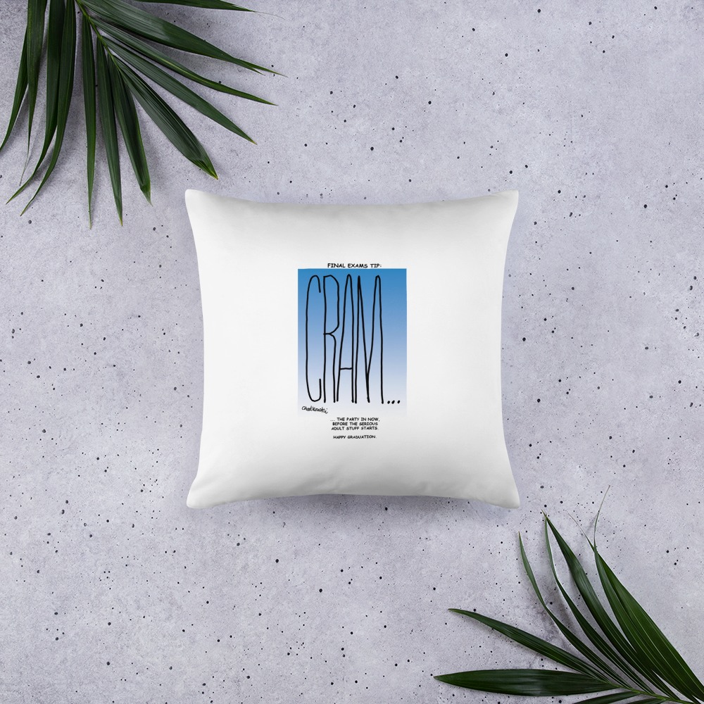 Premium Pillow
