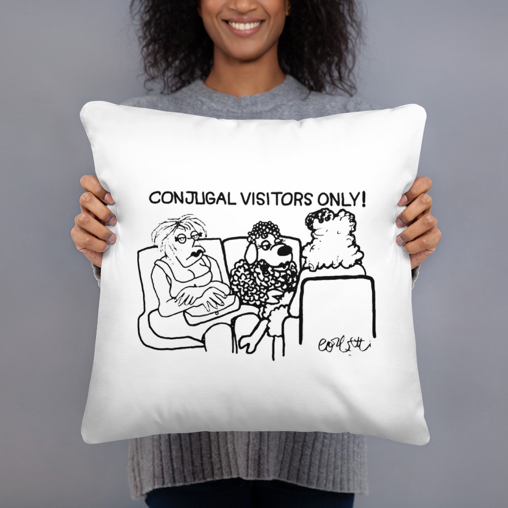 Premium Pillow