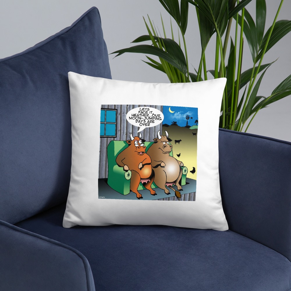 Premium Pillow
