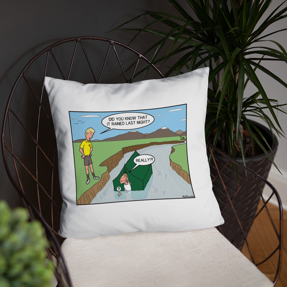 Premium Pillow