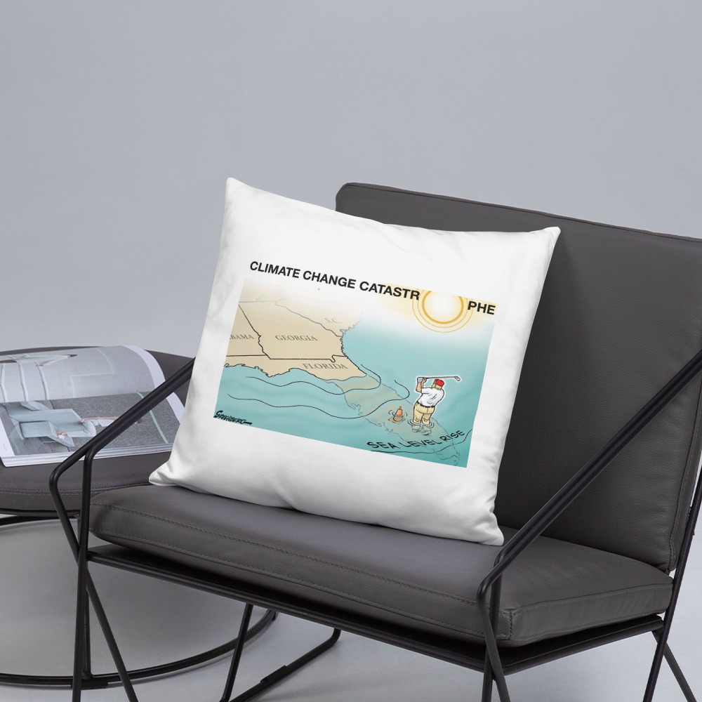 Premium Pillow
