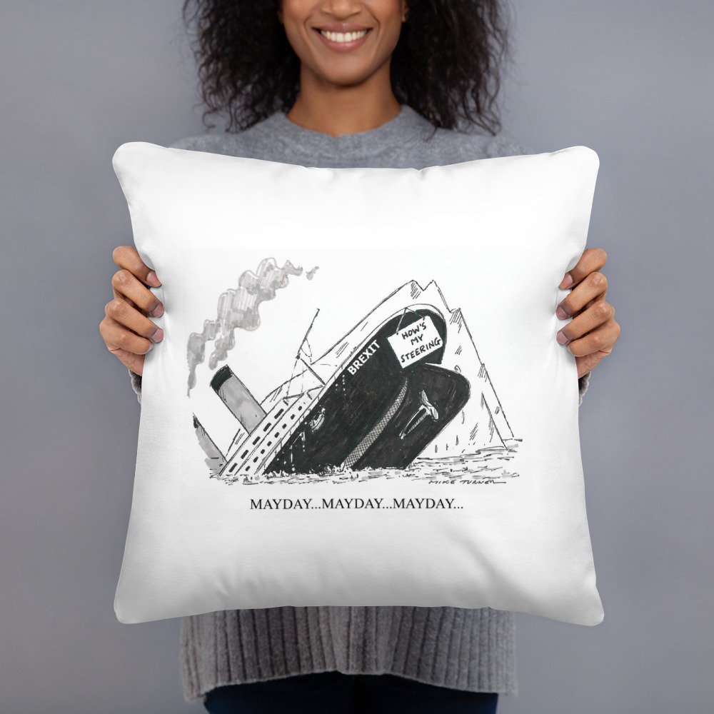 Premium Pillow