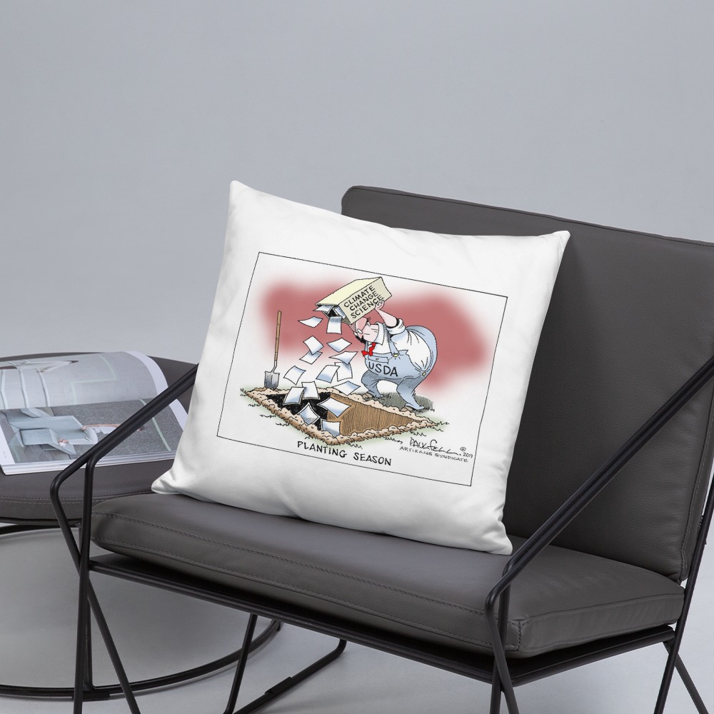 Premium Pillow