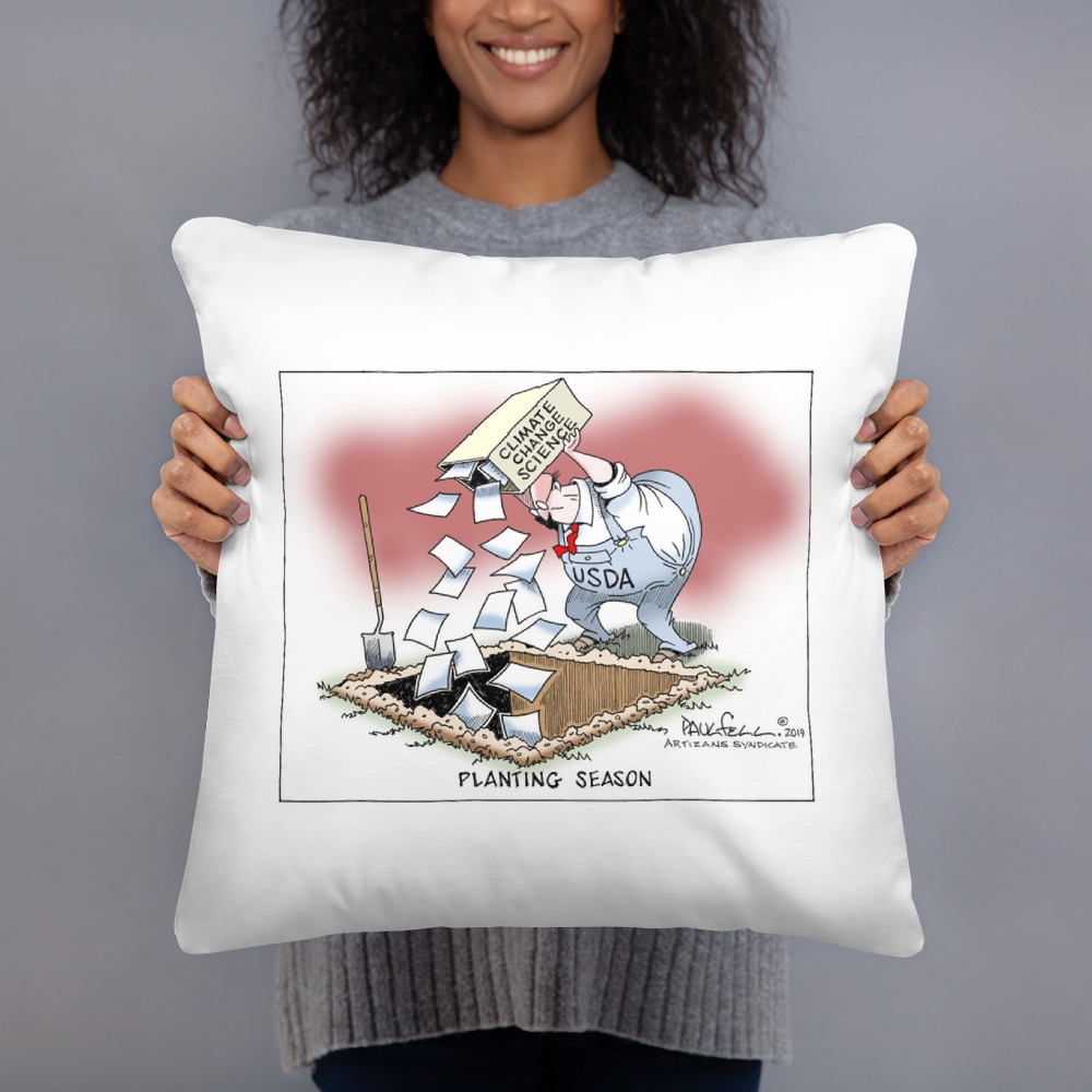 Premium Pillow