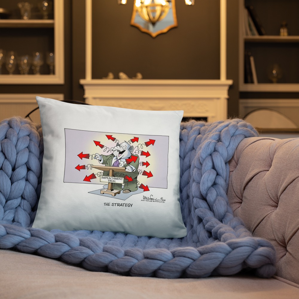 Premium Pillow