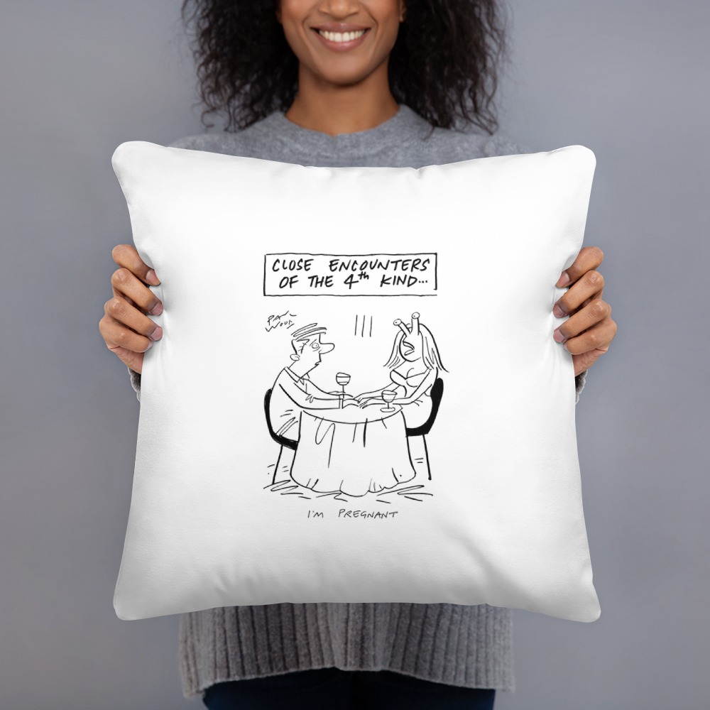 Premium Pillow