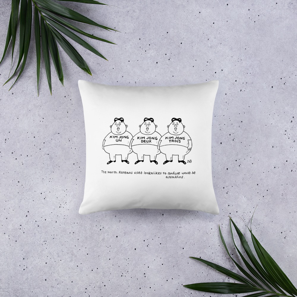 Premium Pillow