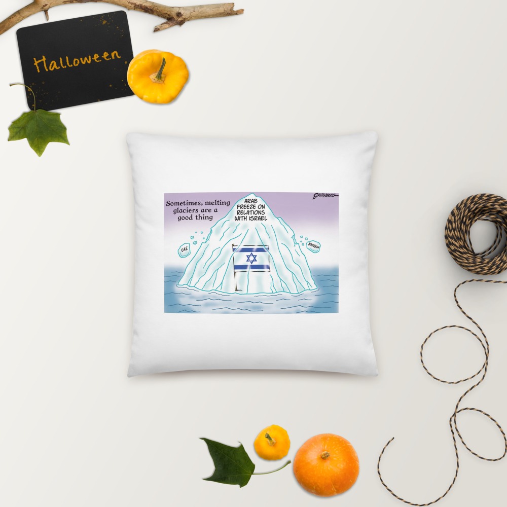 Premium Pillow