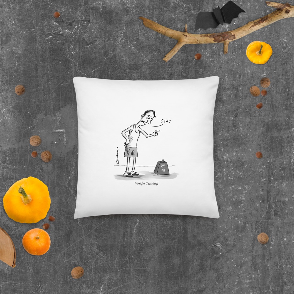 Premium Pillow