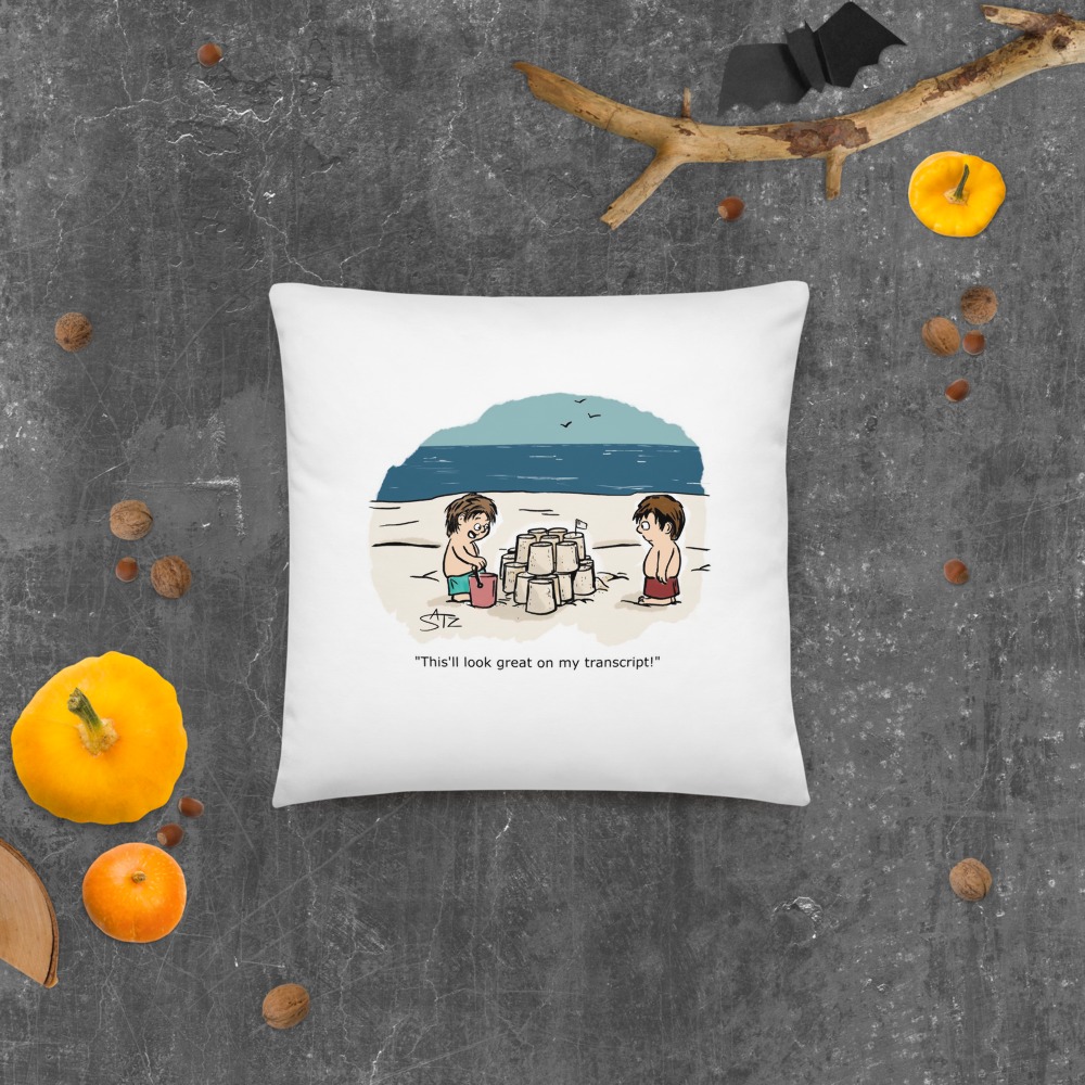Premium Pillow
