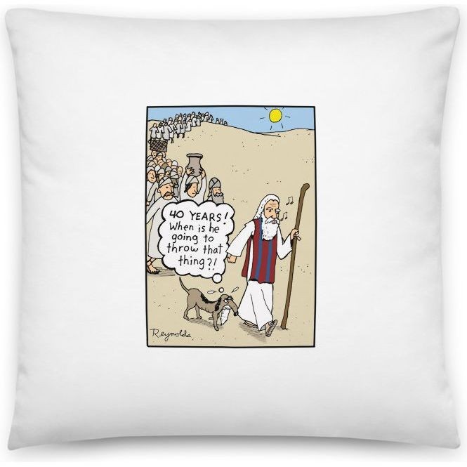 Premium Pillow