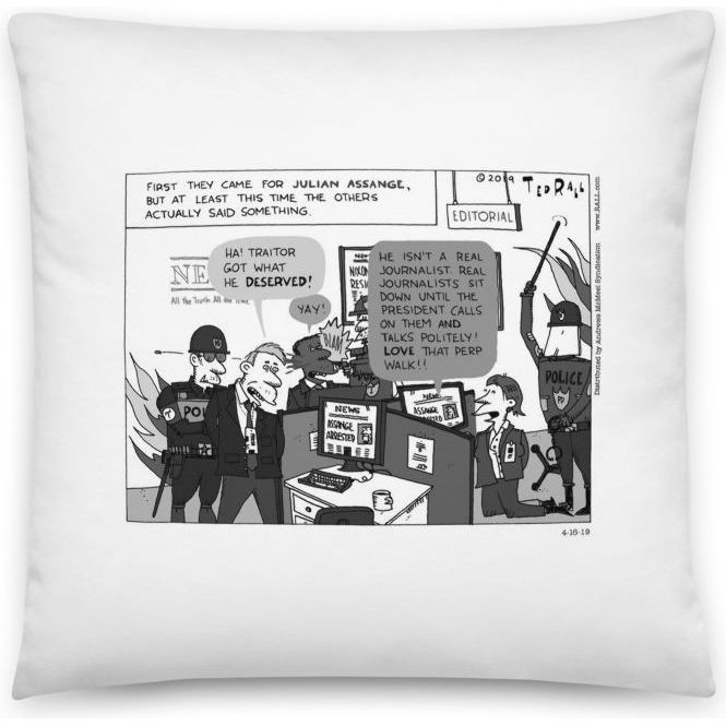 Premium Pillow