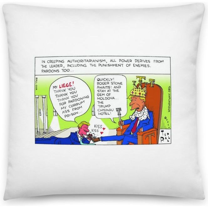 Premium Pillow