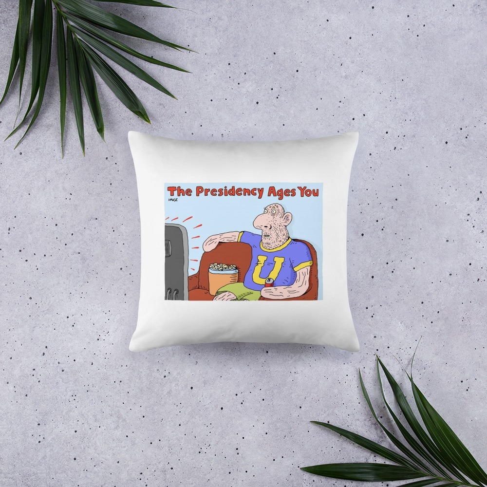 Premium Pillow