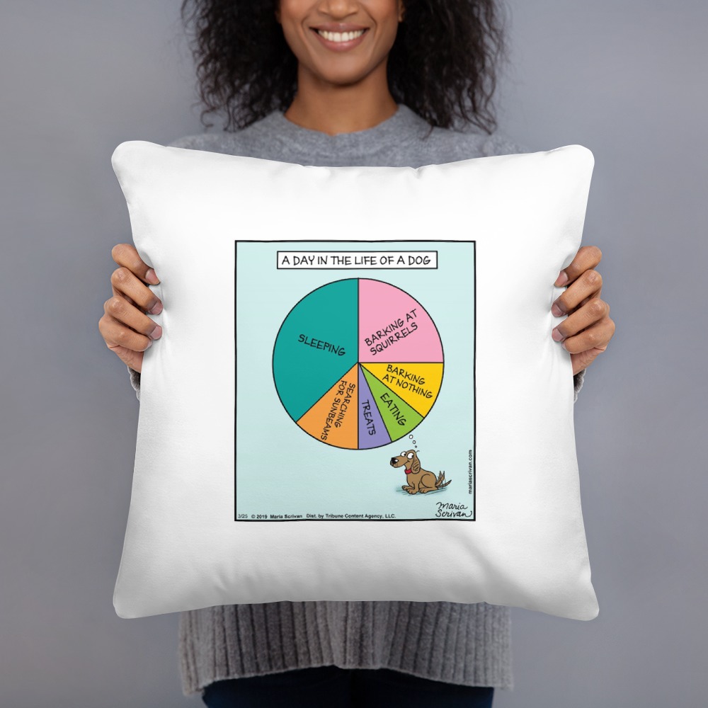 Premium Pillow