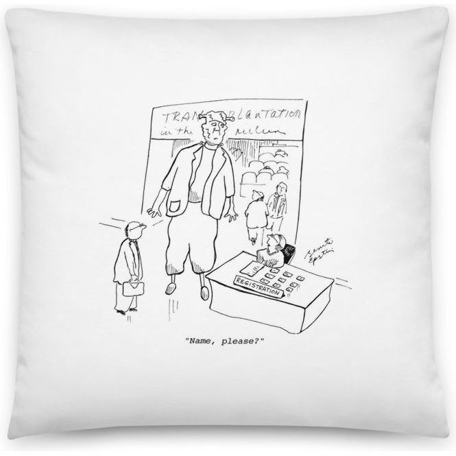 Premium Pillow
