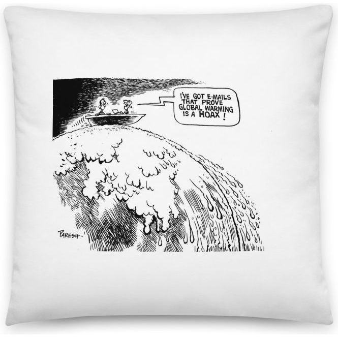 Premium Pillow
