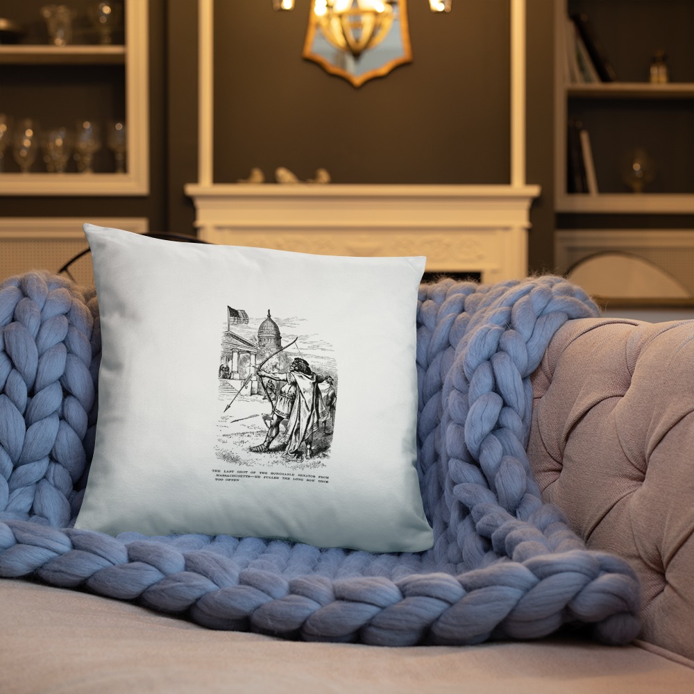 Premium Pillow