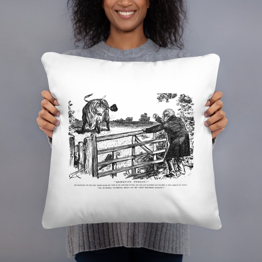 Premium Pillow