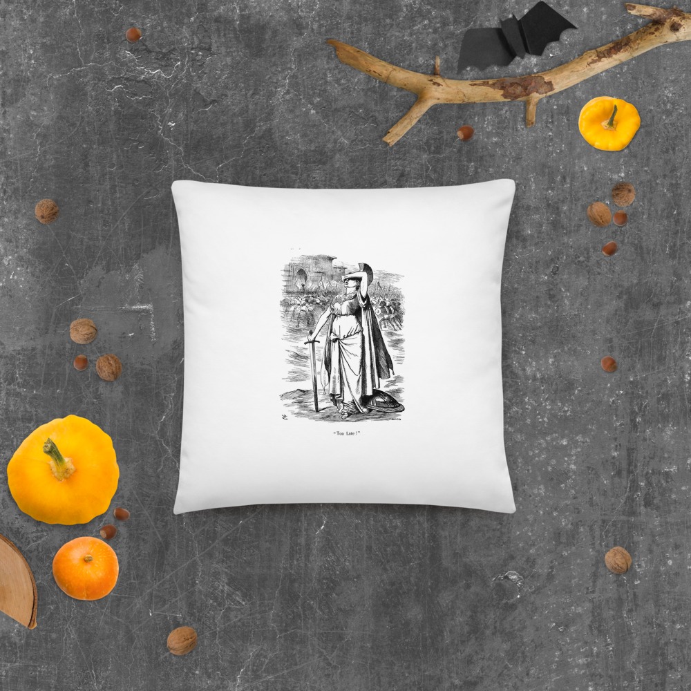 Premium Pillow